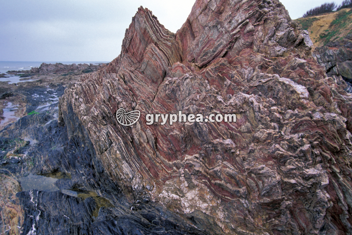 Roches métamorphiques plissées en bord de mer - gryphea.com